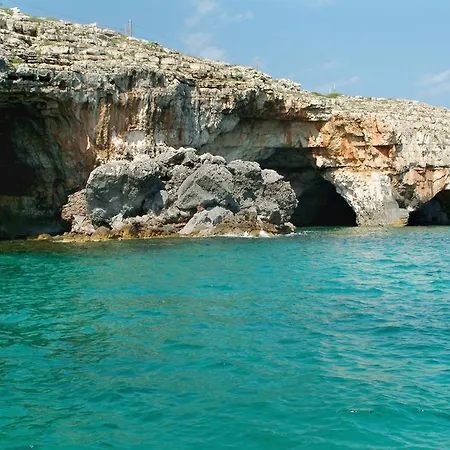 Bed & Breakfast Quattro Pini *