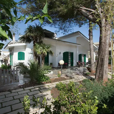 Quattro Pini Salve