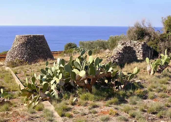 Quattro Pini Bed & Breakfast